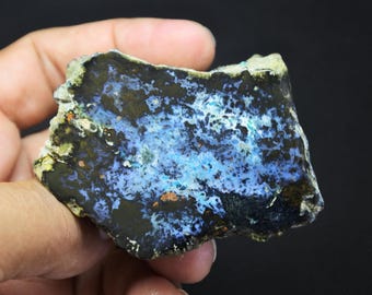 Specimen Slab Polished Blue Opalized Petrified Wood Copper