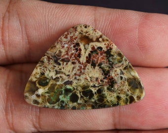 Multicolor blue opalized petrified Wood