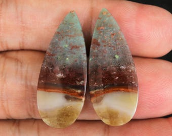 Multicolor Blue Opalized Petrified Wood Pair