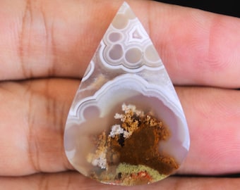 Scenic Moss Agate Orbicular Cabochon: Garden Agate Gemstone