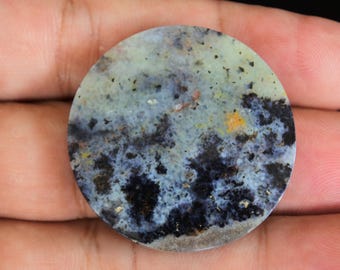 Scenic Multicolor Opalized Petrified Wood