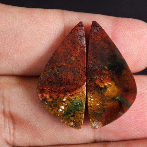 Plume Opalized petrified Wood multycolor pair rare