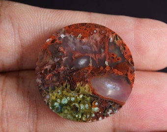 Multicolor plume Opalized petrified Wood