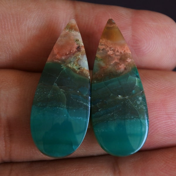 Multicolor Blue Opalized Petrified Wood Pair