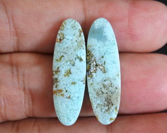 Druzy Multicolor Blue Opalized Petrified Wood Pair