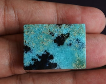 Druzy multicolor Blue opalized petrified Wood