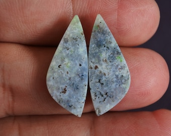 Multicolor Opalized Petrified Wood Pair