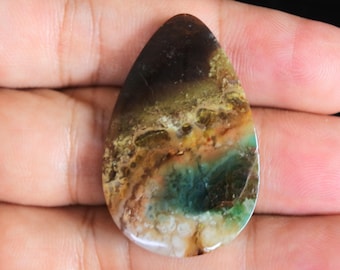 Multicolor Blue Opalized Petrified Wood