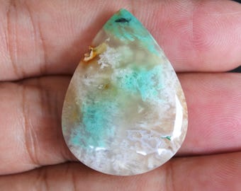 Multicolor Druzy Blue Opalized Petrified Wood