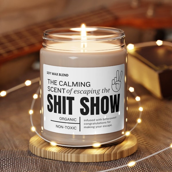 Funny coworker farewell candle gift for friend leaving job goodbye gifts for coworker leaving a job sarcastic candle boss leaving job moving