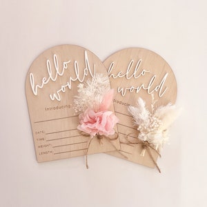 Everlasting "Hello World" birth details plaque | Birth Sign | Baby Plaque | Announcement | Dried Flowers | Introduction Sign | Introducting