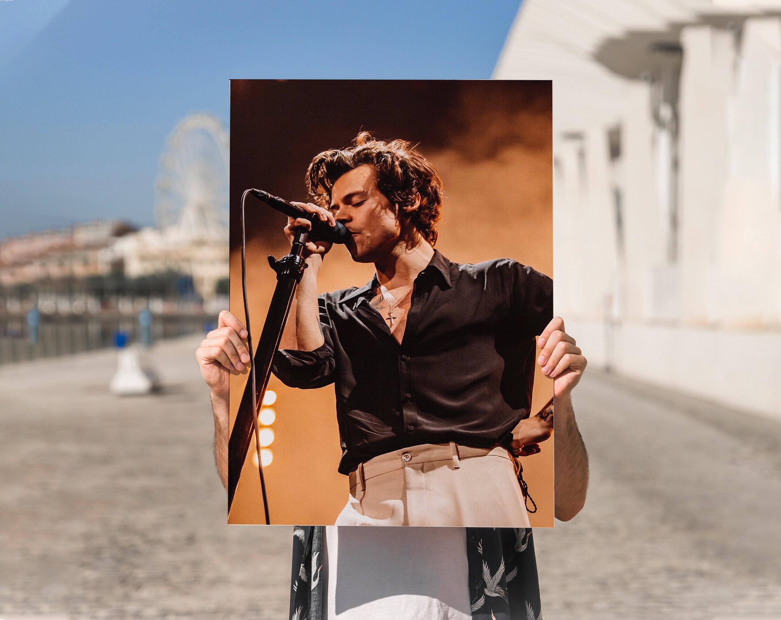 harry styles singing songbird harry styles singing songbird