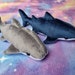 see more listings in the Water creatures section