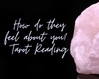SAME DAY - How Do They Feel About You? Tarot Reading