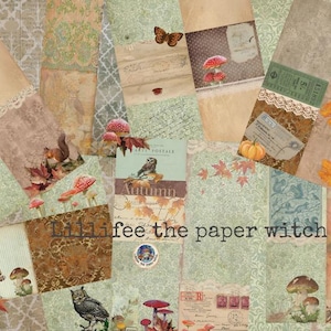 Può includere: Un collage di carta vintage con illustrazioni a tema autunnale. Il design include scoiattoli, funghi, gufi e foglie autunnali. Il testo "Lillifee the paper witch" è visibile.