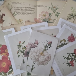 MIXED SET 16 Illustrated Pages Edith Holden, Rose Redouté, Vintage Books, Junkjournal