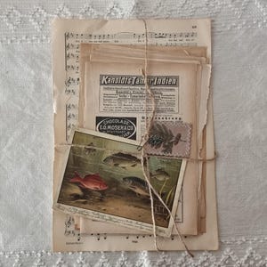 Confezione di carta vintage,libro del 1800, kit di ispirazione per diari spazzatura, papercraft e scrapbooking