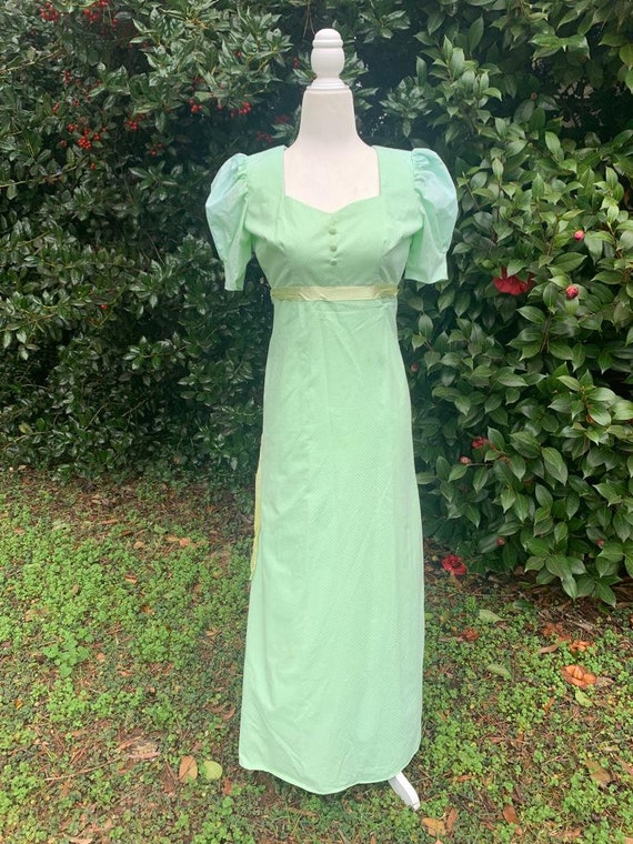 green emerald velvet dress Winterberry Sage Swiss Dots Dress – A Bee Bug Boutique main image 0