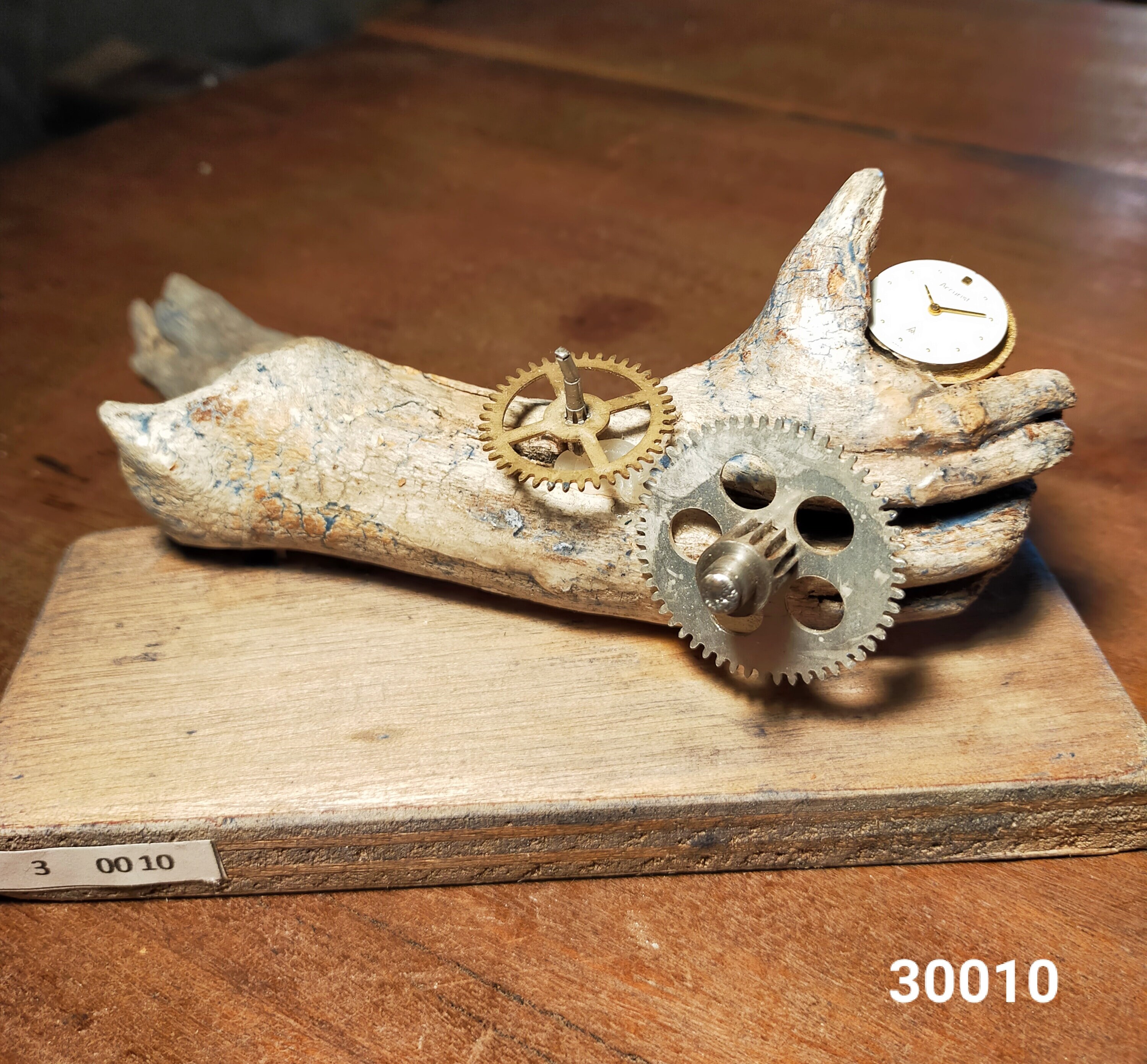 Racine en Bois Flotté - Le Temps de Prendre Racine