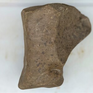 Prehistoric - Paleoindian - Multi-purpose Tool