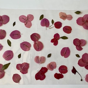Modern placemats w/ pressed flower art, spring artwork, art with tiny dried flowers, dried pressed flowers, floral placemats
