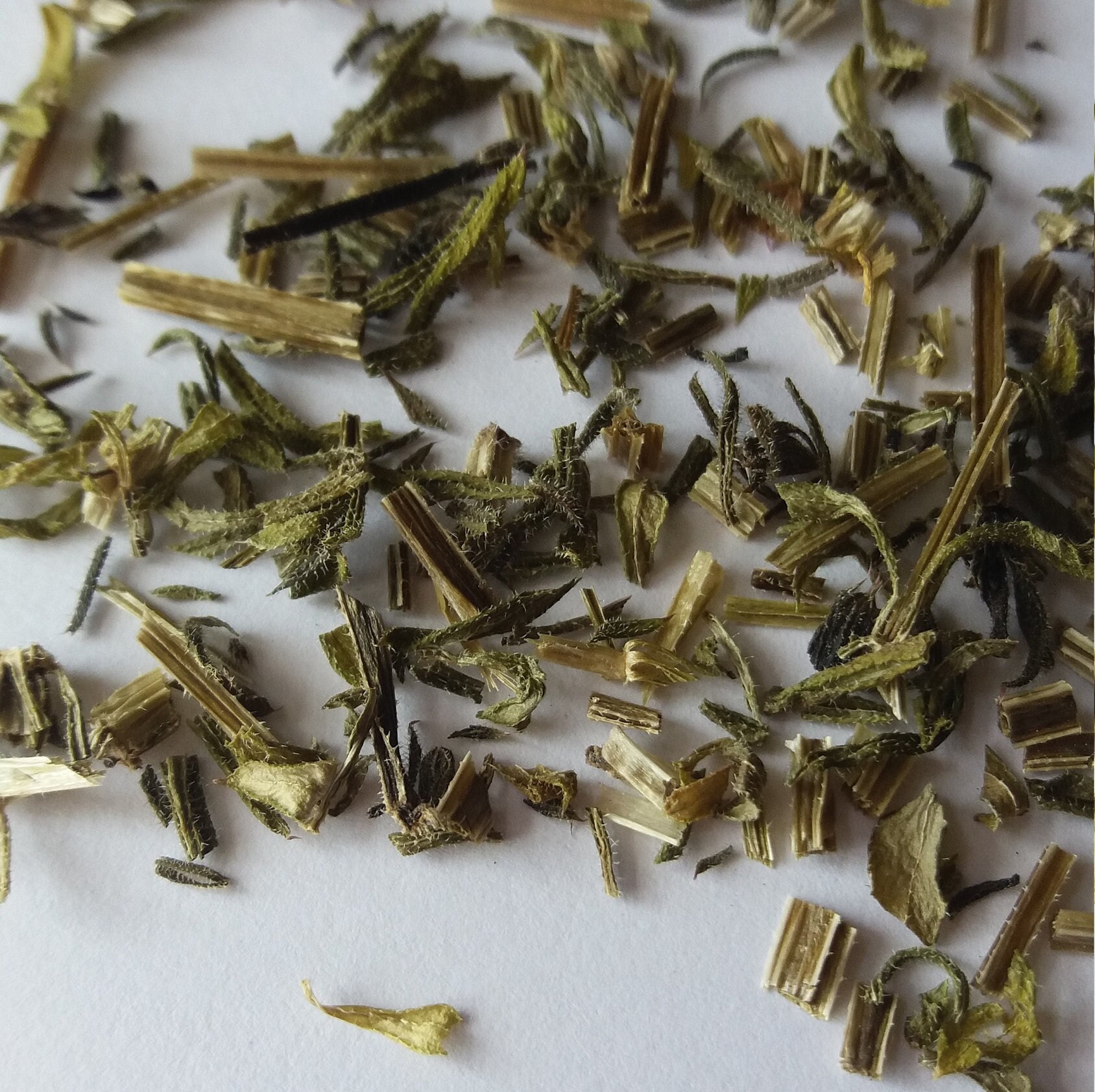 Organic Dried Cleavers galium Aparine / Sustainably Grown in UK