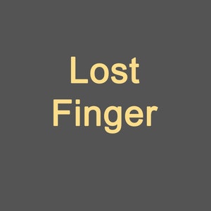 以下が含まれることがあります： グレーの背景に「Lost Finger」という黄色のテキストグラフィックが表示されています。