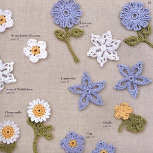 100 Lace Flowers to Crochet image 6