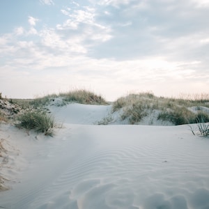 Paesaggio di dune a St. Peter-Ording – stampa artistica con colori tenui