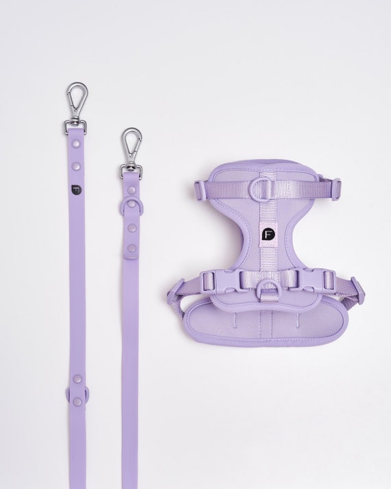 lilac dog harness