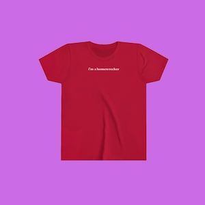 Homewrecker Y2K Baby Tee, Sabrina Carpenter Merch, E-mails I cant Send Tour, BILAB Shirt
