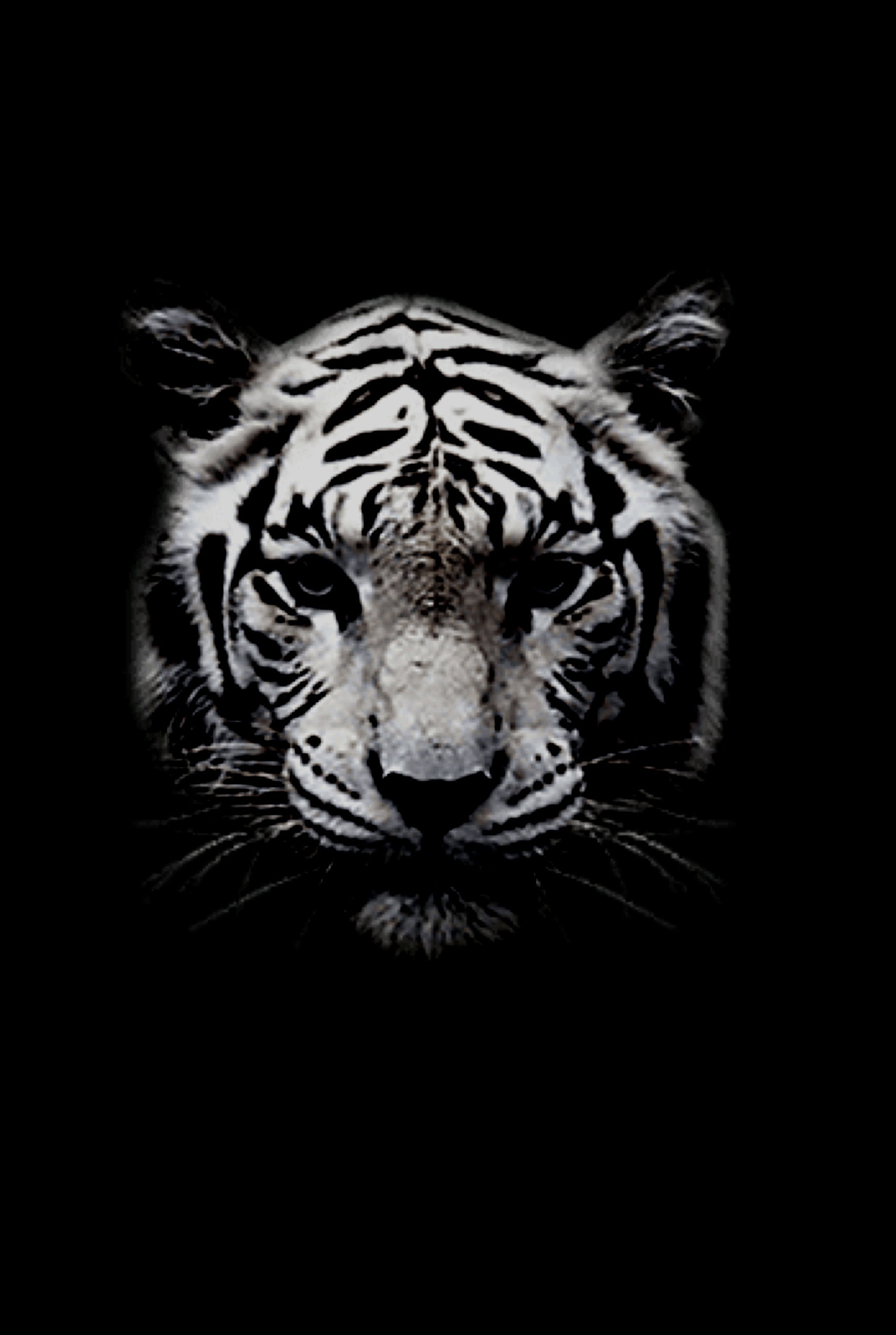 Black Poster Tiger mural black tiger motif Etsy