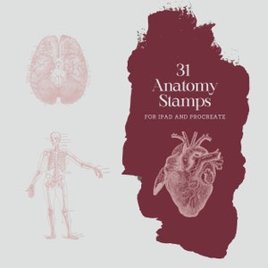 30 timbri anatomici vintage per iPad e Procreate / Pennelli anatomici digitali per Procreate / Pennelli Dark Academia per Procreate e iPad