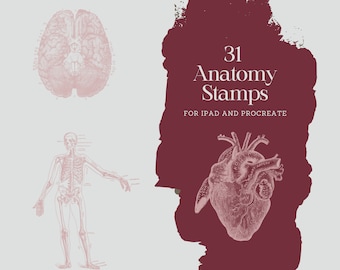 30 Vintage Anatomy Stamps for iPad and Procreate | Digital Anatomy Brushes for Procreate | Dark Academia Brushes for Procreate and iPad