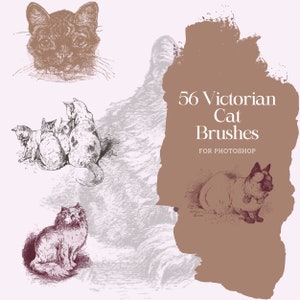 56 Vintage Cat Stamps for Photoshop | 56 Adobe Photoshop Brushes | Antique Cat Brushes for Adobe Photoshop | Cat and Kitten Brushes