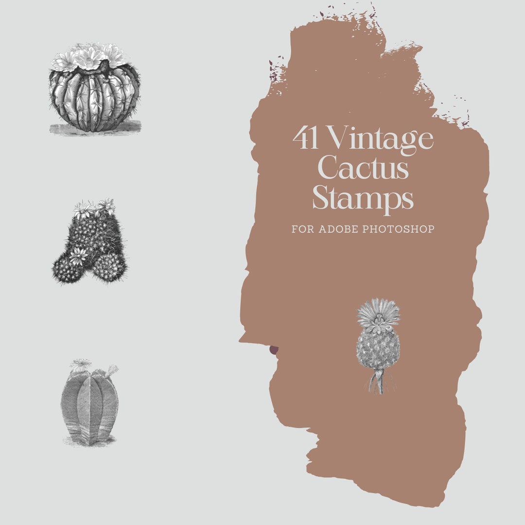 41 Vintage Cactus Brushes for Adobe ABR Cactus Brushes for