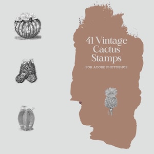 41 Pinceles de cactus vintage para Adobe Photoshop / Pinceles de cactus ABR para Adobe Photoshop / Pinceles de cactus vintage Descarga digital instantánea