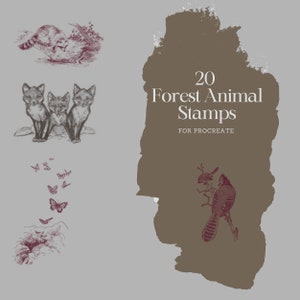 20 Vintage Forest Animal Stamps for iPad and Procreate | Antique Digital Brushes for Procreate and iPad | Raccoon, Fox, Butterfly Stamps