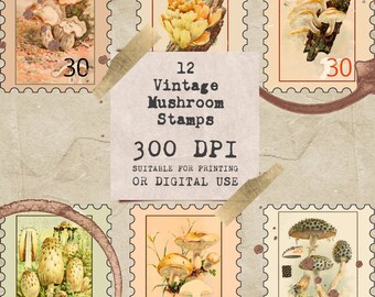 12 Vintage Illustration Pilz Stempel, 300 DPI, geeignet für Druck oder digitale Nutzung