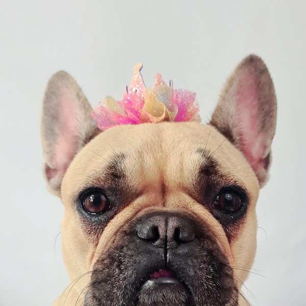 Pinky Dog Crown