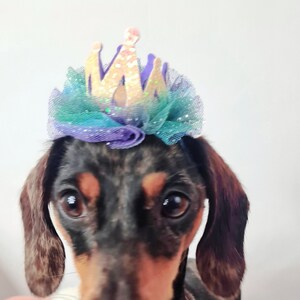 Dog Occasion Crown