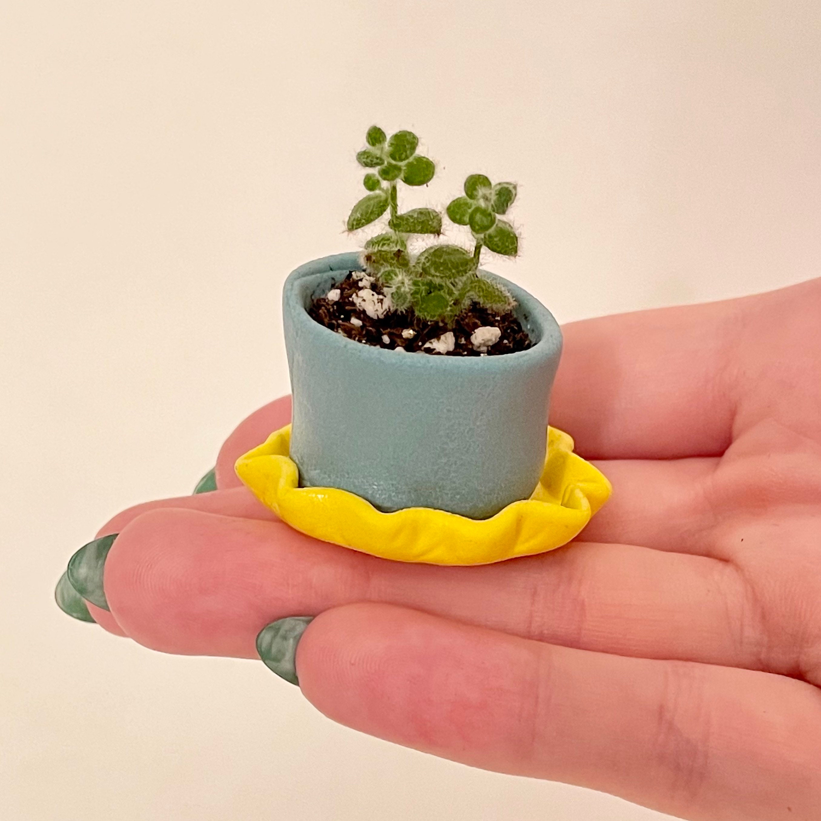 Miniature Clay Pots Handmade Pots Flower Pot Mini Etsy