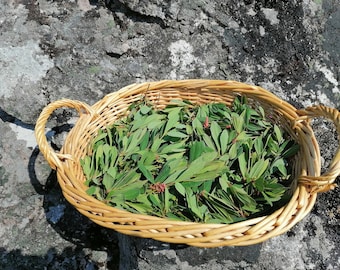 Coup de vent doux : séchage lent pour un parfum qui conserve le mieux ! Ingrédient biologique pour botanique + savon + huile essentielle. Insectifuge pour l'intérieur et l'extérieur.