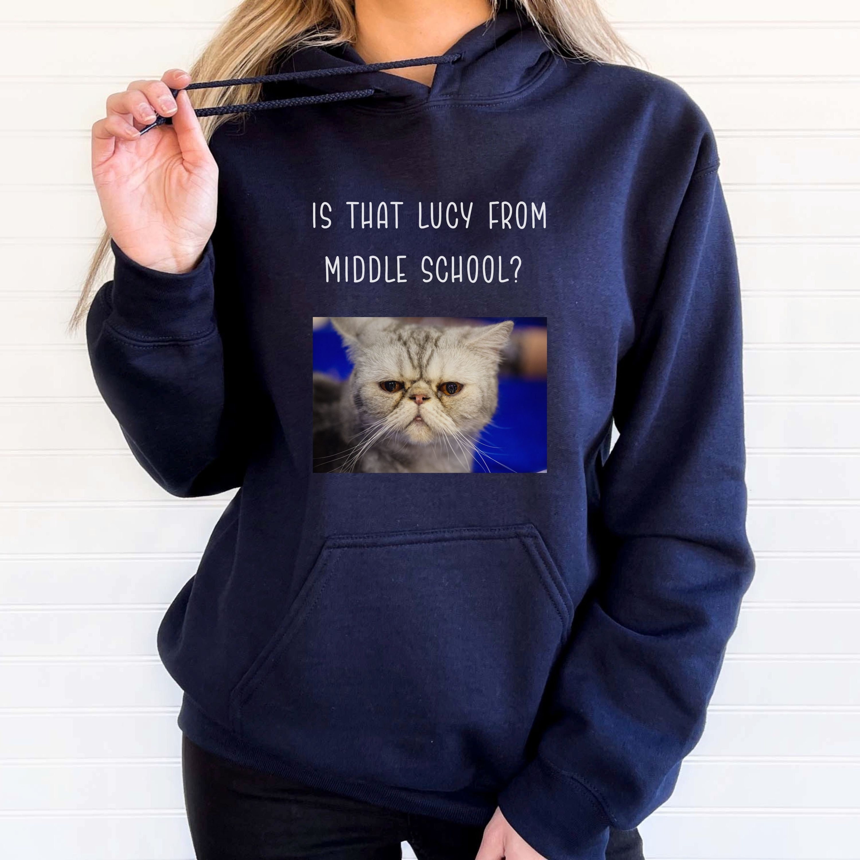 Cat In Hoodie Meme