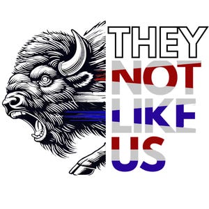 They Not Like Us- Custom Shirt