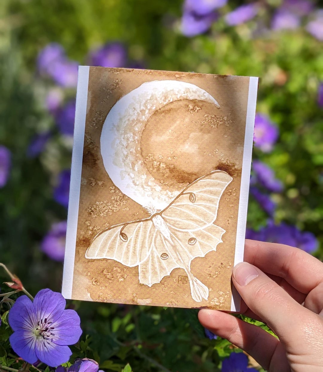 Coffee Painted Luna Moth and Moon Blank Greeting Card - Etsy
