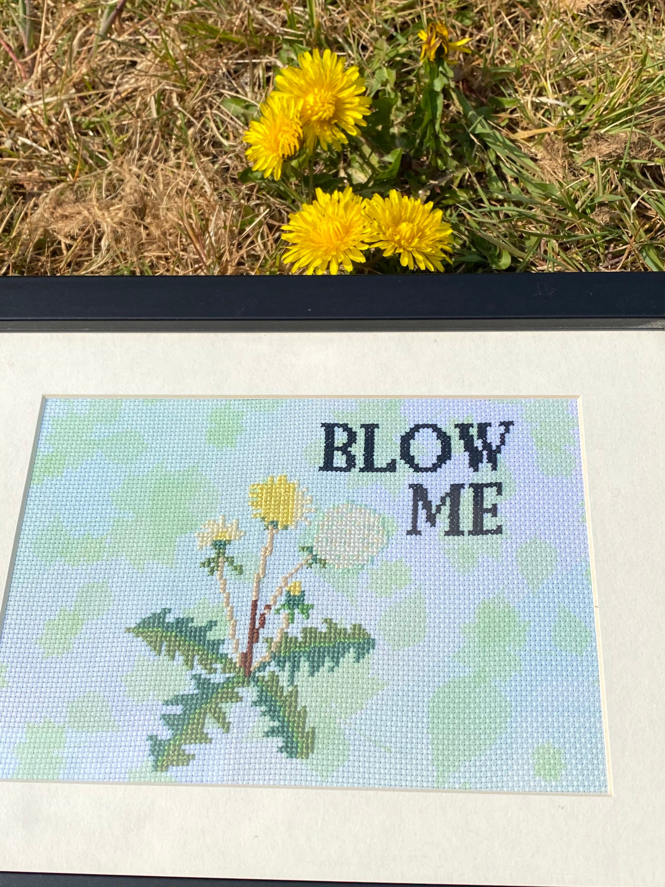 Blow Me Dandelion Cross Stitch Etsy UK