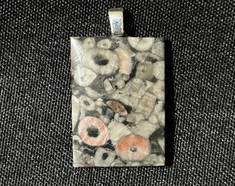 Fossil Crinoid Pendant