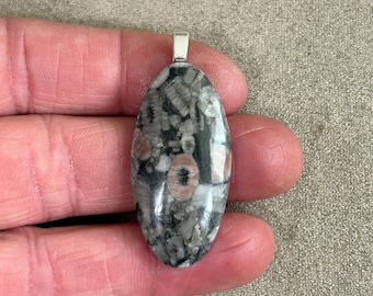 Fossil Crinoid Pendant