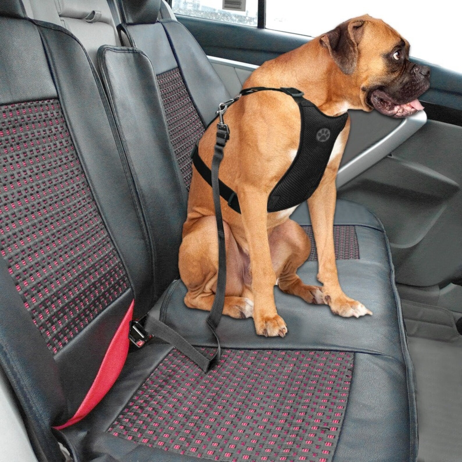 Adjustable Nylon Dog & Cat Car Seat Belt With Harness / Etsy